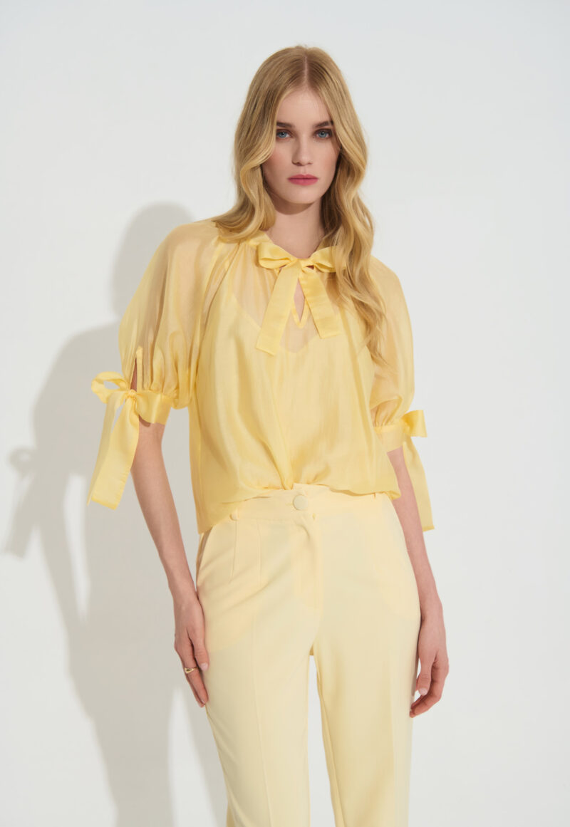 Διαφανές Πουκάμισο με Φιόγκο στο Λαιμό και Δέσιμο στα Μανίκια