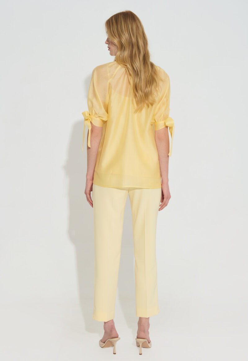 Διαφανές Πουκάμισο με Φιόγκο στο Λαιμό και Δέσιμο στα Μανίκια